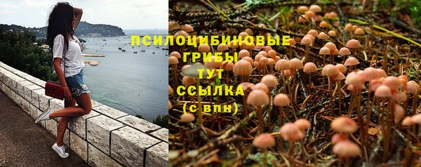 мяу мяу мука Балабаново